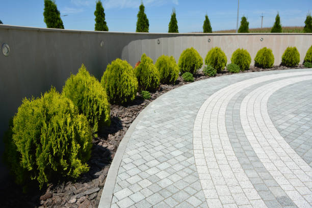 Best Local Driveway Pavers  in Port Huron, MI